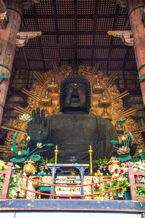 5 Things To Do In Nara Japan The Five Foot Traveler