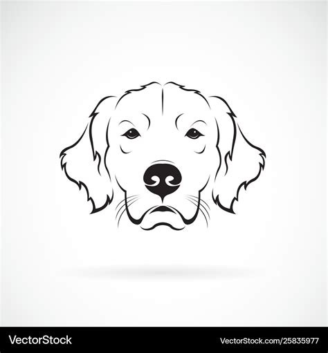 Golden Retriever Drawing Outline Labrador Dog Retriever Golden