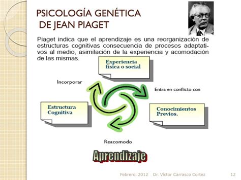Teoria Genetica De Jean Piaget Pptx Powerpoint Images