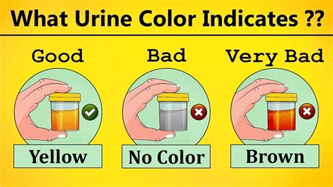 What Color Of Your Urine Means The Meaning Of Color