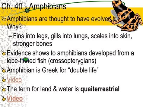 Ppt Ch 40 Amphibians Powerpoint Presentation Free Download Id 5260006