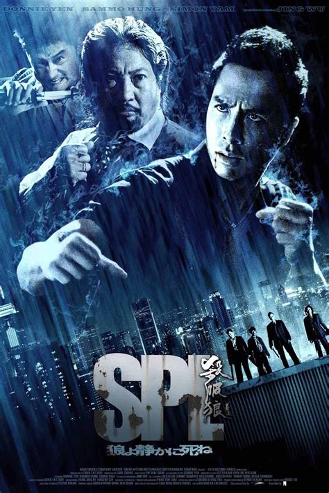 I couldn't stop watching them as i got totally hooked with some of the. Martial Arts Asia Action — Top 10 of Donnie Yen Movies #1 ...