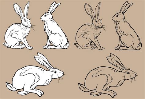 Three Bunnies In Different Poses Vector Black And White Line Drawing