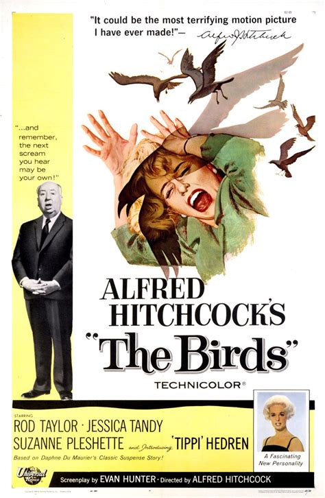 an alfred hitchcock movie the birds premiered march 28 1963 the birds movie classic movie