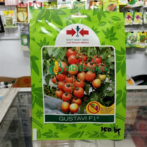 Jual Benih Bibit Tomat Gustavi F Biji Tanaman Sayuran Cap Panah