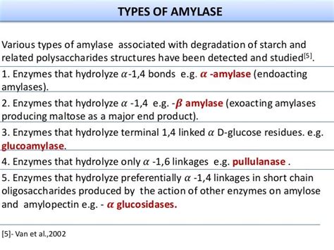 Presentation On Amylase Enzyme