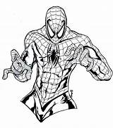 Coloring Pages Spider Man Kids Marvel Spectacular Color Way Fun Spiderman Printable Print Develop Ages Creativity Recognition Skills Focus Motor sketch template