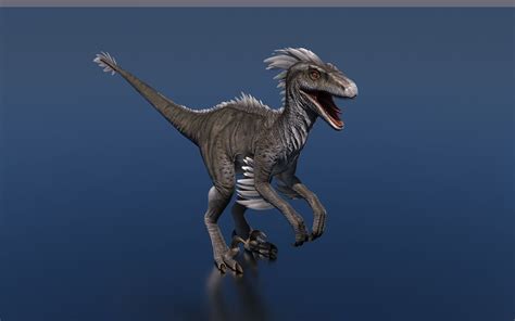Raptor Dinosaur 3d Model Rigged Cgtrader