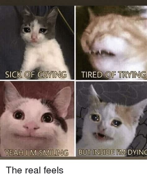 Crying Cat Meme With Hearts Meme Creation