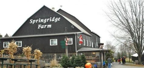 Springridge Farm | House styles, Farm, Farm yard