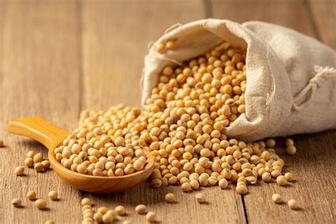 The Commission Authorises A Genetically Modified Soybean For Food And
