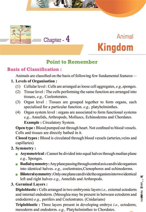 Revision Notes For Class 11 Biology Chapter 4 Animal Kingdom Riset