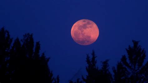 Blood Moon Latest News On Blood Moon Breaking Stories And Opinion