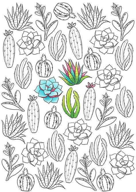 Easy Succulent Coloring Page Kidsworksheetfun