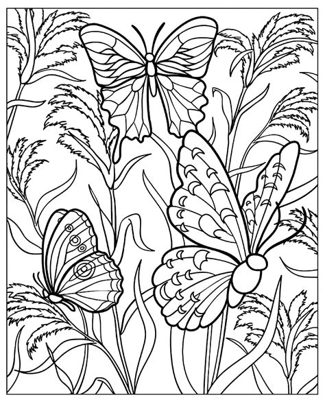 Butterflies In A Green Nature Butterflies And Insects Adult Coloring Pages