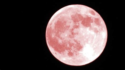 Superluna Rosa Calendario Lunar Abril 2021 Cuándo Ver La Superluna Rosa Y Todas Las Fases De