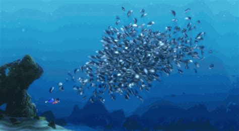 Finding Nemo Pixar   By Disney Pixar Find And Share On Giphy