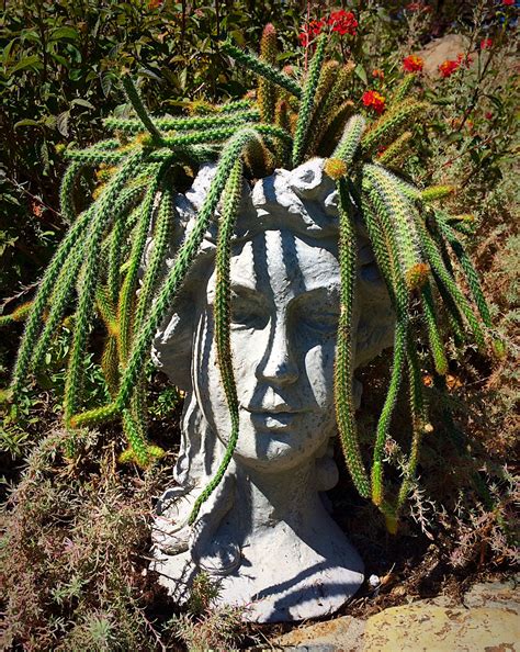 Medusa Head With Cactus Stone Planters Head Planters Backyard Farming