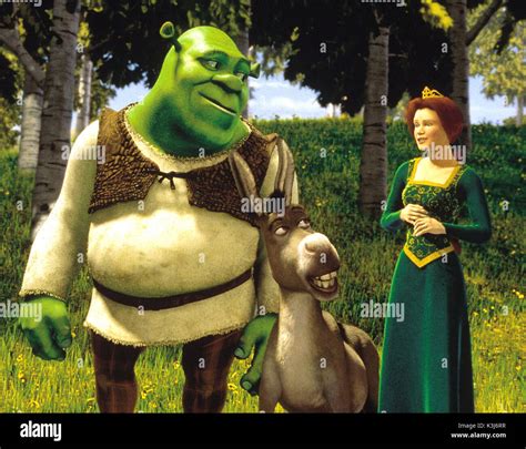 Shrek 2001 Princess Fiona Shrek 2001 Dreamworks Animation With