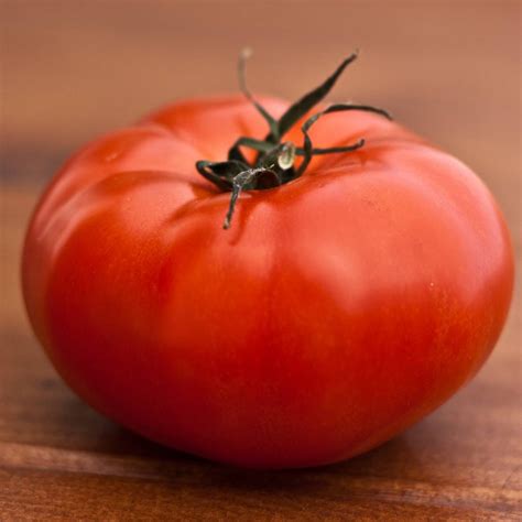 Tomato Beefsteak 10cm Heirloom Garden World Nursery