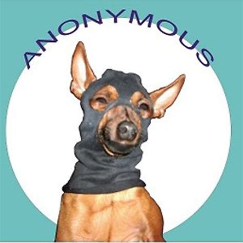 Mr Anonymous