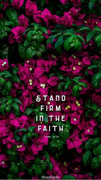Phone Mobile Stand Firm Backgrounds Background Iphone