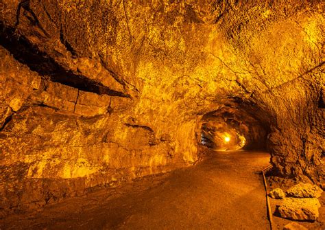 The Top 10 Thurston Lava Tube Tours And Tickets 2022 Big Island Of Hawaii
