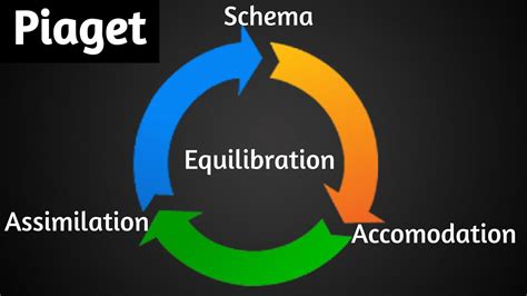 Piaget Assimilation Accomodation Equilibration Schema Green Star