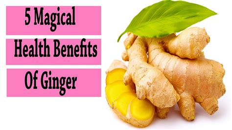 health benefits of ginger 5 magical health benefits of ginger start eating ginger everyday