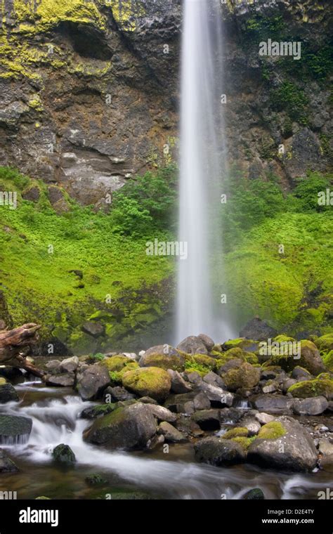 Elowah Falls In The Columbia River Gorge National Scenic Area Oregon