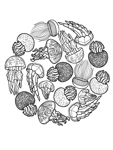A large story of the jelly beans full page printable; Jelly Bean Clipart at GetDrawings | Free download