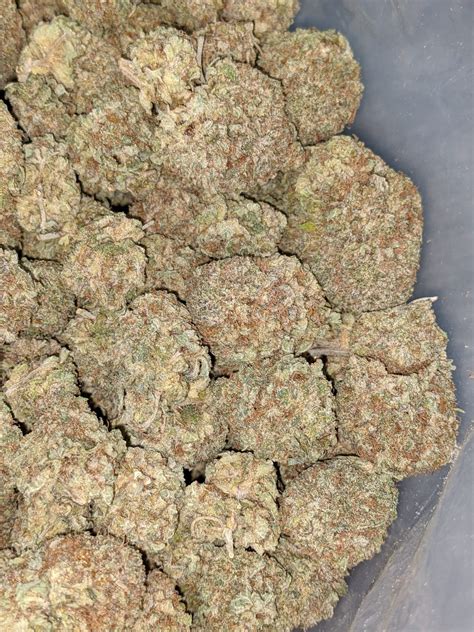 Buy White Haze Deal Of The Day Online Cheap Weed