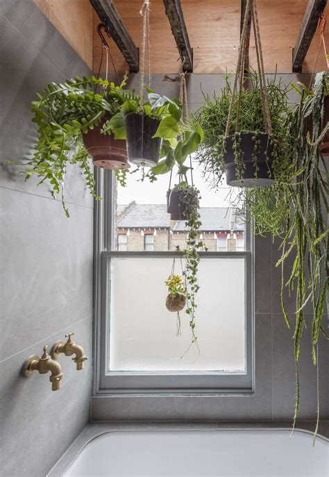 If fastening hooks into your ceiling or walls is not an drying flowers can be addictive! A Japanese-style two-room bath filled with hanging plants