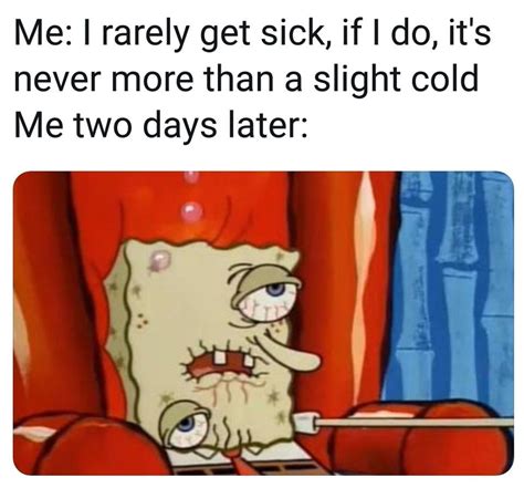 Flu Memes To Make You Laugh When You Want To Cry The Healthy