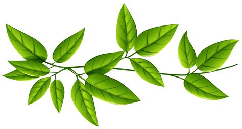 Green Leaves Background Clipart Clipground