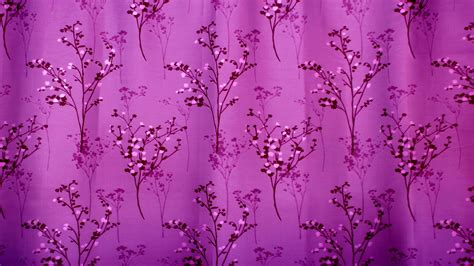 Purple Curtains Background Free Stock Photo Public Domain Pictures