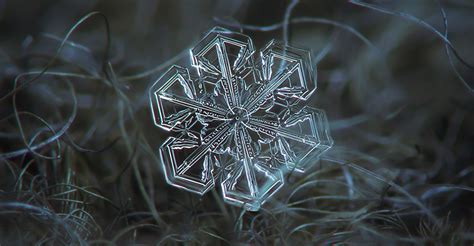 Macro Snowflake Photography Alexey
