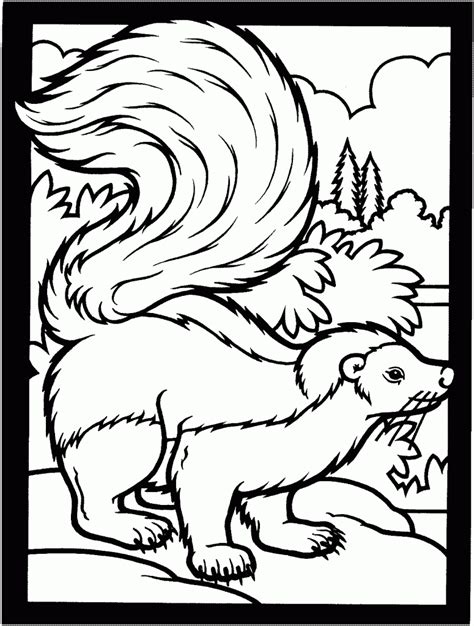 Use crayola® crayons, colored pencils, or markers to color the arizona page. Free Printable Skunk Coloring Pages For Kids