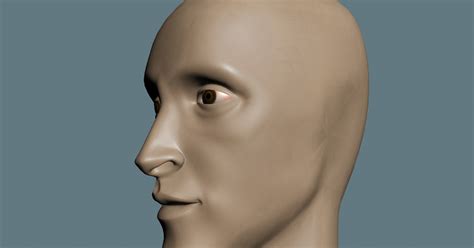 Vikky Animations 3ds Max Face Model