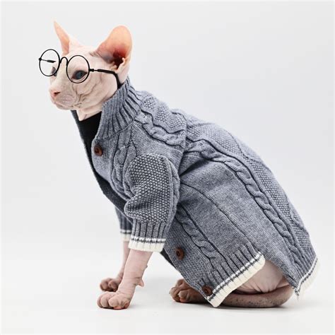 Hairless Cat With Sweater Hot Sex Picture