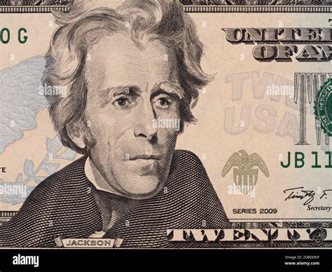 Twenty Dollar Bill Macro 20 Usd Andrew Jackson Portrait United
