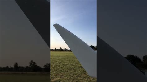 Worlds Largest Glider Nimeta X Shorts Youtube