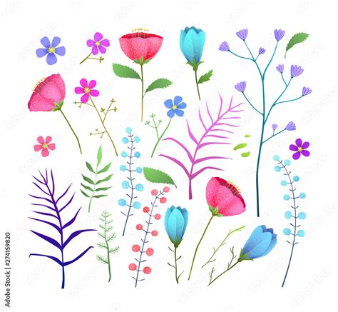 Wild Flowers Flat Vector Illustration Set Isolated Clip Art Stock