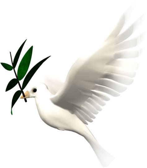 Bird Animation Giphy Clip Art Animated Dove Png Hd Transparent Png