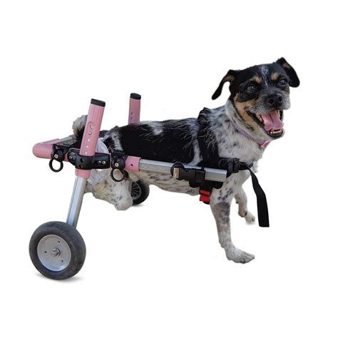 Walkin Wheels Dog Wheelchair For Small Dogs 11 25 Pounds