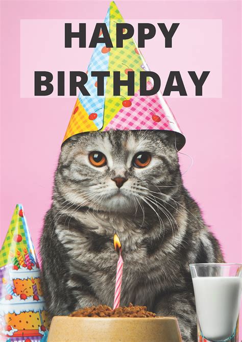 Happy Birthday Cat Greeting Card Cute Grey Grumpy Cat Etsy