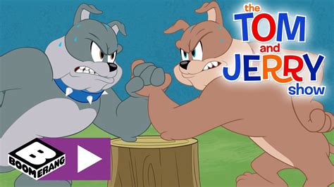 Tom Jerry Cartoon Videos Youtube Rocstage