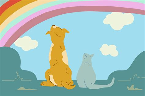 Where Do Dogs Go When They Die Rainbow Bridge