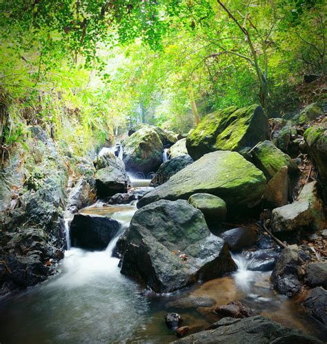 Forest Hdr Photography Nature Background Mountain River Stock Image