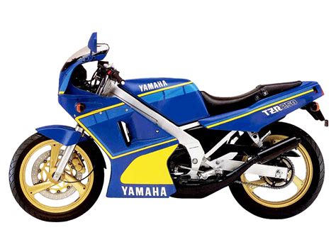 1987 Yamaha Tzr 250 Motozombdrivecom